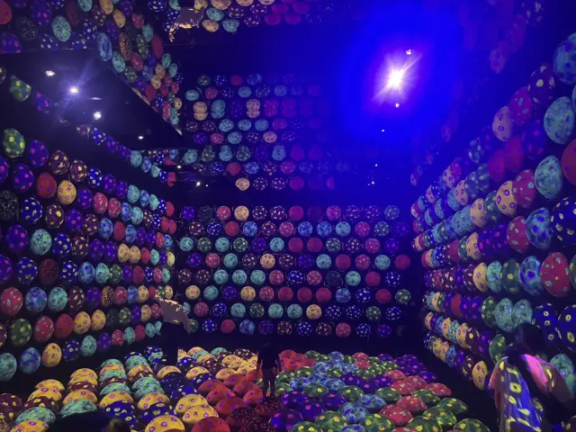 Tokyo 6-Day Itinerary Recommendations