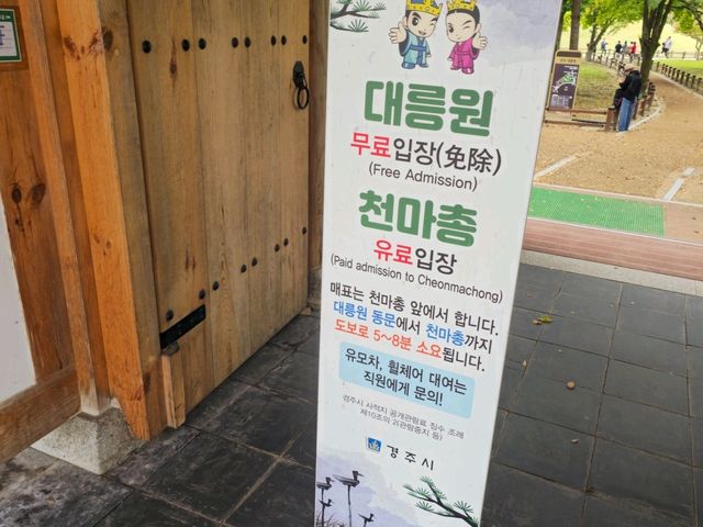 가을여행하기에 너무 좋은 경주 대릉원 가을여행하기에 너무 좋은 경주 대릉원