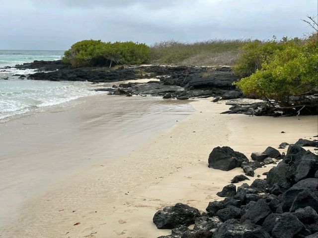 Isla Isabela Discover Untamed Beauty Isla Isabela Discover Untamed Beauty