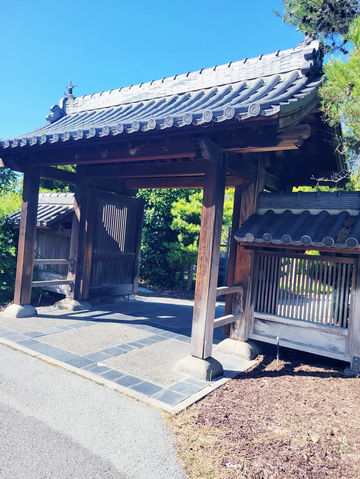 The Soloist's Urban Oasis: Japanese Friendship Garden of San Jose