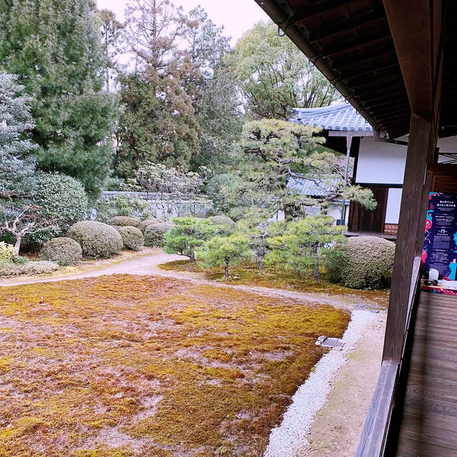 🍂 “Crimson Whispers at Zuishin-in Temple”
