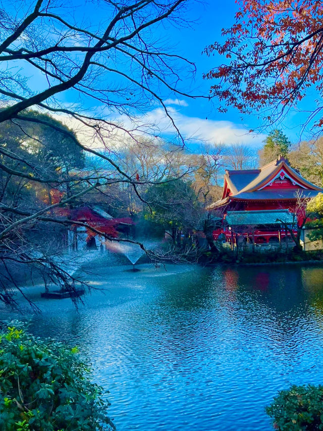 🍁 도쿄의 가을을 담은 이노카시라 시공원 산책 🇯🇵🍂