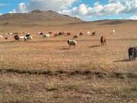 Hustai National Park - Fantastic animal viewing.