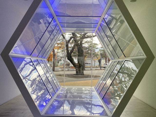 來青森、八戶，千萬不可錯過的「十和田市當代美術館」