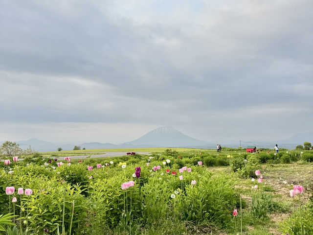 北海道洞爺湖的靈魂所在