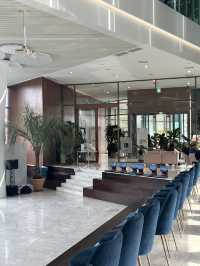 쾌적하고 넓은 브런치 카페💚 오후의 작은 여유