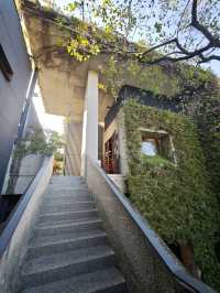 城市中的禪意淨土#🌿 菩薩寺-臺中市大里區