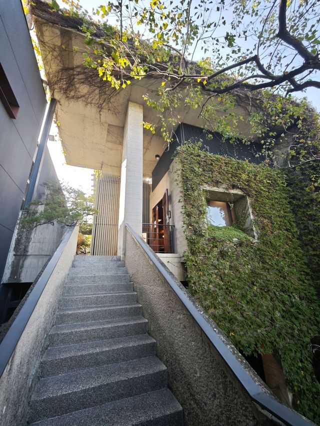 城市中的禪意淨土#🌿 菩薩寺-臺中市大里區 城市中的禪意淨土#🌿 菩薩寺-臺中市大里區