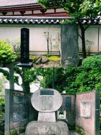 익숙한 풍경처럼 스며들다가도 문득 새롭게 다가오는 도시, 도쿄