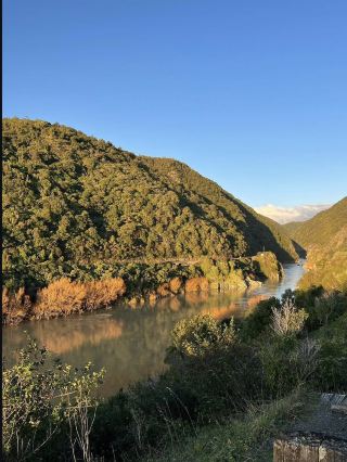 新西蘭必去！Manawatu Gorge Track峽谷步道☀️絕美自然放空之選！