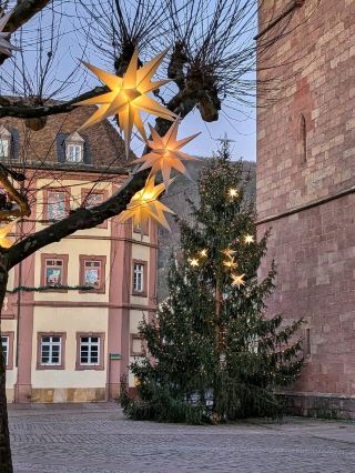 Vineyard Lights & Festive Nights: Neustadt's  Christmas