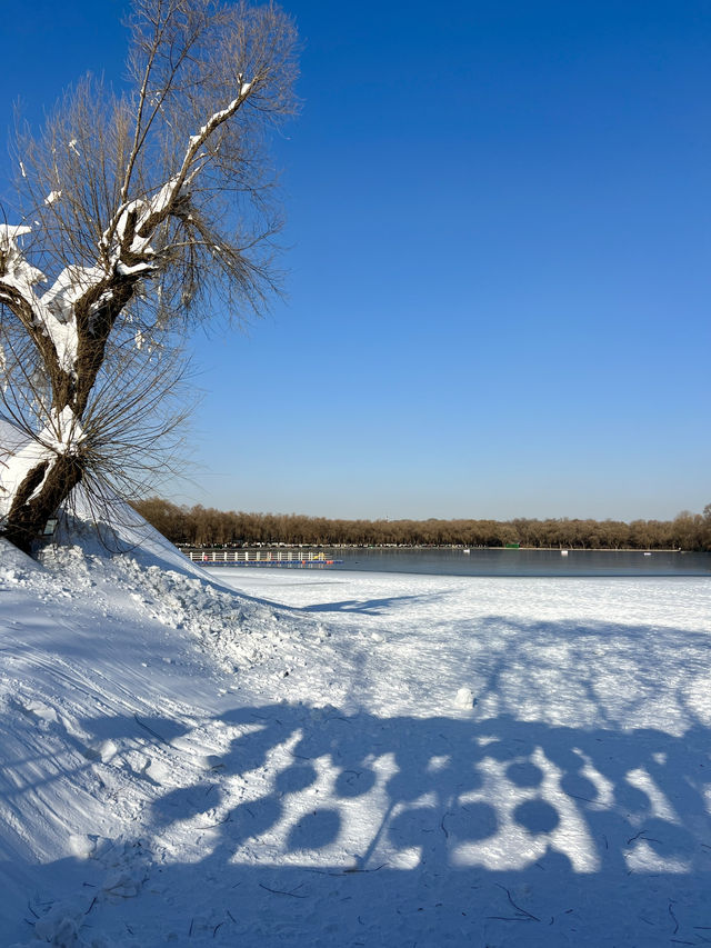 🇨🇳 선양 시민들의 휴식처 북릉공원 🇨🇳 선양 시민들의 휴식처 북릉공원