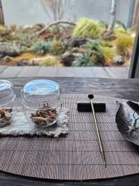 โจ ์ ์ฃผ ์คํ
์ด ๋ณด์ค์ผ ํจ๋ ๊ทผ์ฒ ํ๋ผ์ด๋น ํ๋น๋ผ