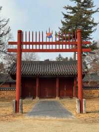 Courtyard Dreams🌞