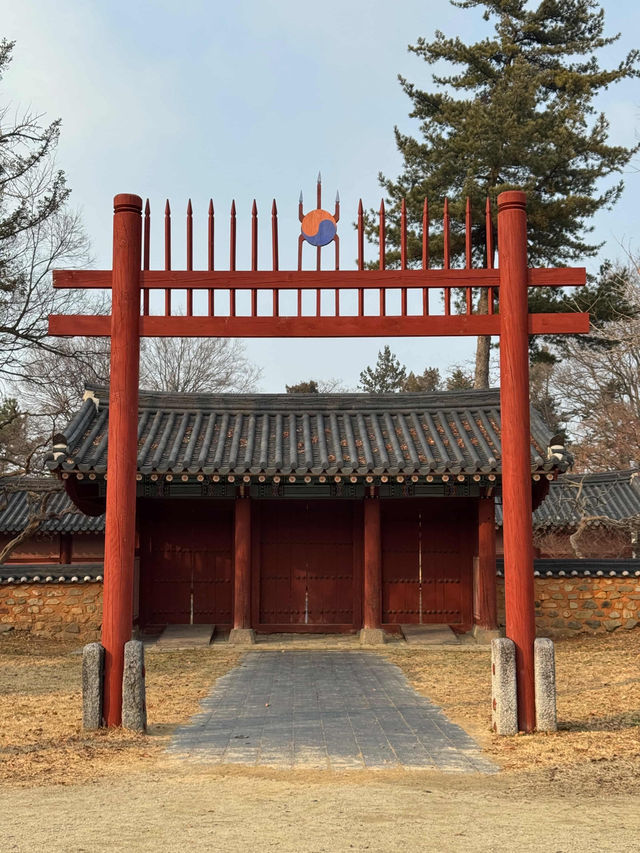 Courtyard Dreams🌞 Courtyard Dreams🌞