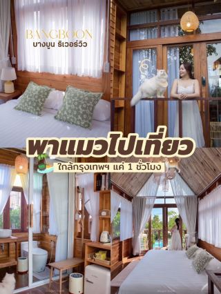 Taking my cat for a trip to 📍Bang Boon Riverview, Phetchaburi🍃😻