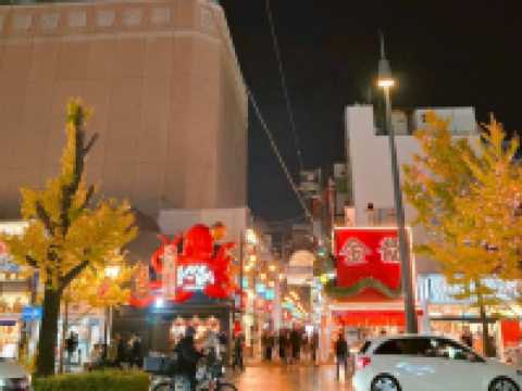 빛이 피어나는 밤