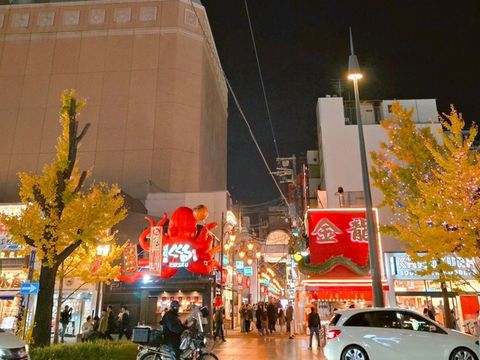 빛이 피어나는 밤