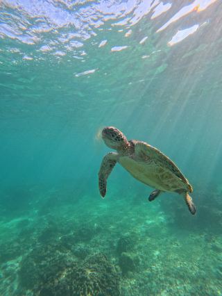 เดย์มานิยัต บลิส✨