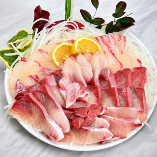 제주 서홍동 횟집)푸른어장 - 올레시장 근처 서귀포 대방어 고등어 맛집