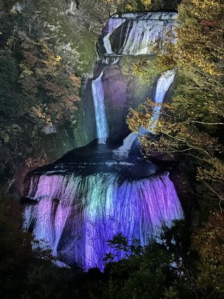 【茨城・大子】紅葉下的日本三大名瀑被燈光渲染！超夢幻的夜間袋田瀑布。