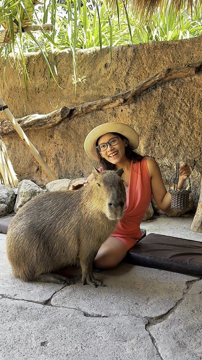 #bucketlistdestinations #bali #balitrip #mustvisitattractions 

10 / 10 Experience & Repeat?! YES

Bali Zoo ternyata bukan cuma lihat-lihat satwa!

Dari 🦌 Deer Feeding, 🐘 Elephant Feeding, ketemu 600+ satwa, Animal Presentation, sampai yang paling gemes…

🐹 Brunch with Capybara! 🤎
Bisa interaksi + kasih makan Capybara

Masih ada waterfall, Museum Zoologi, Central Food Village sampai Jungle Watersplash. Jadi kalau lagi cari aktivitas Bali yang fun buat family, anak-anak, atau bareng bestie, ini bisa banget masuk Bali bucket list! 🌴
