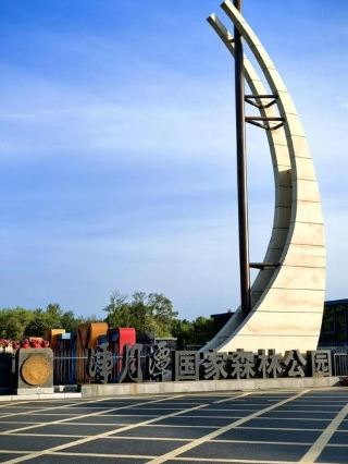 Changchun's Hidden Paradise | The Ultimate One-Day Guide to Jingyuetan National Forest Park.