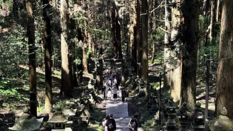 카미시키미 쿠마노이마스 신사 — 숲속에 숨겨진 신비로운 신사 — traveler post in 스즈