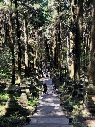 ⛩️🌿 Kamishikimi Kumanoimasu Shrine — A Mystical Shrine Hidden in the Forest 🇯🇵✨