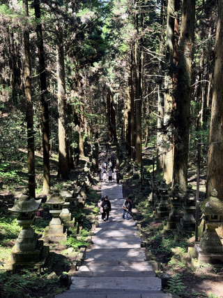⛩️🌿 Kamishikimi Kumanoimasu Shrine — A Mystical Shrine Hidden in the Forest 🇯🇵✨