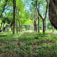 🌳💚A Tranquil Urban Oasis💚🌳