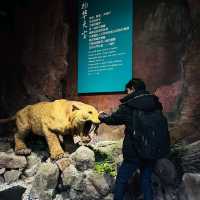 Fushun City Lei Feng museum tour