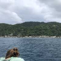 Swim with turtles on Koh Tao