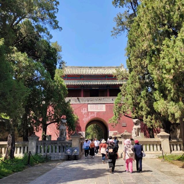 Qufu's Echoes of Ancient Wisdom