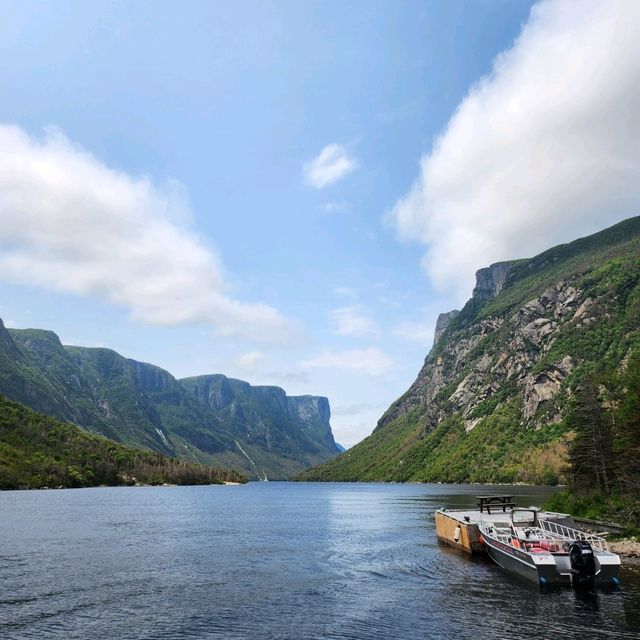 Fjords Magic