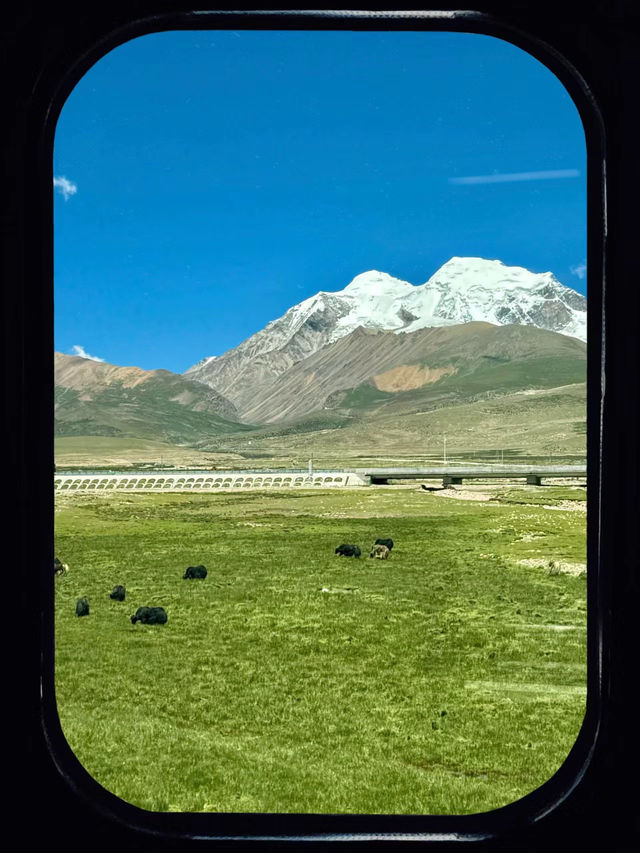 穿越雲端之旅：青藏鐵路上的壯麗風光