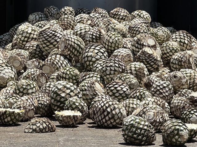 長知識了，常喝它，直到現身臨其境，看著處理過程，才知原來是⋯⋯