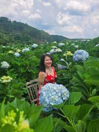 Must see in Dalat Vietnam