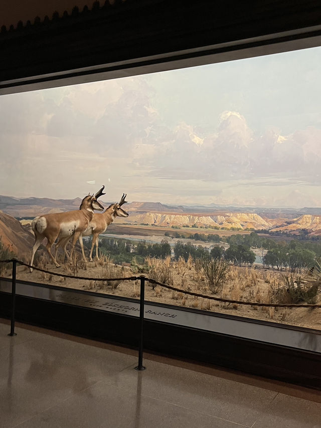 人気映画night museum のロケ地？！アメリカ自然史博物館