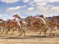 Dubai Off the Grid: 5 Authentic Adventures You’ll Love ❤️🌍