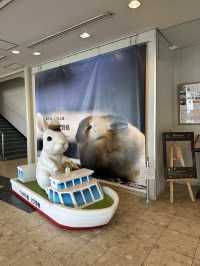 兔奴必遊🐰大久野島探兔仔賞日落🌄