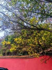 盤龍寺安靜放鬆心靈好去處