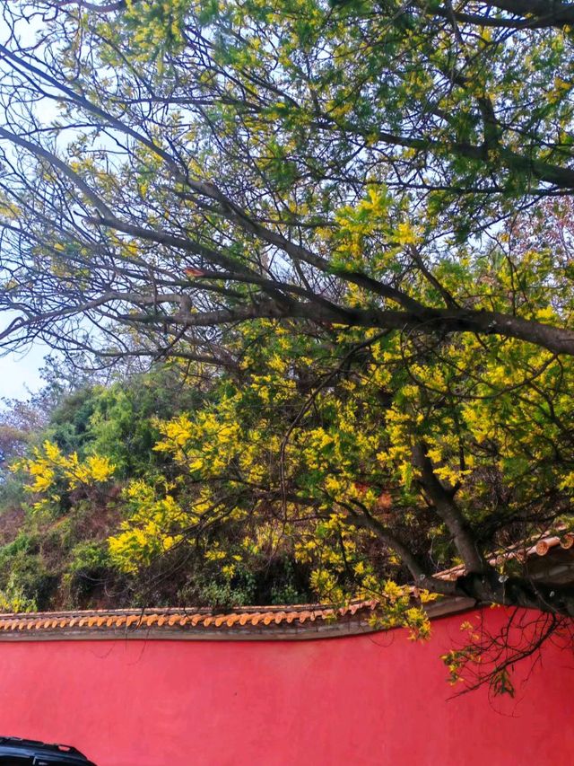 盤龍寺安靜放鬆心靈好去處