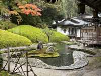 ♀️ 靜心之旅|7天6夜關西靈修溫泉散策記