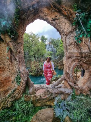 🌿 I Thought I Was Visiting a Cafe. I Ended Up Exploring a Rainforest.