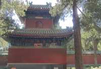 來北海公園看珍藏