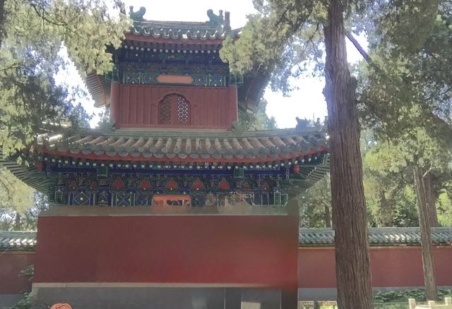 來北海公園看珍藏