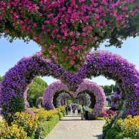 Dubai Miracle Garden is breathtaking 