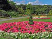 Seaton Park Aberdeen 🌼