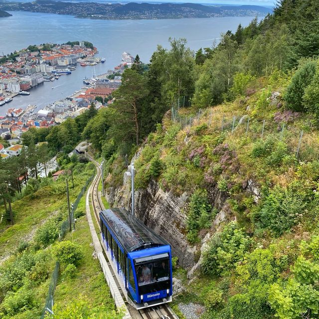 Mountain and Sea